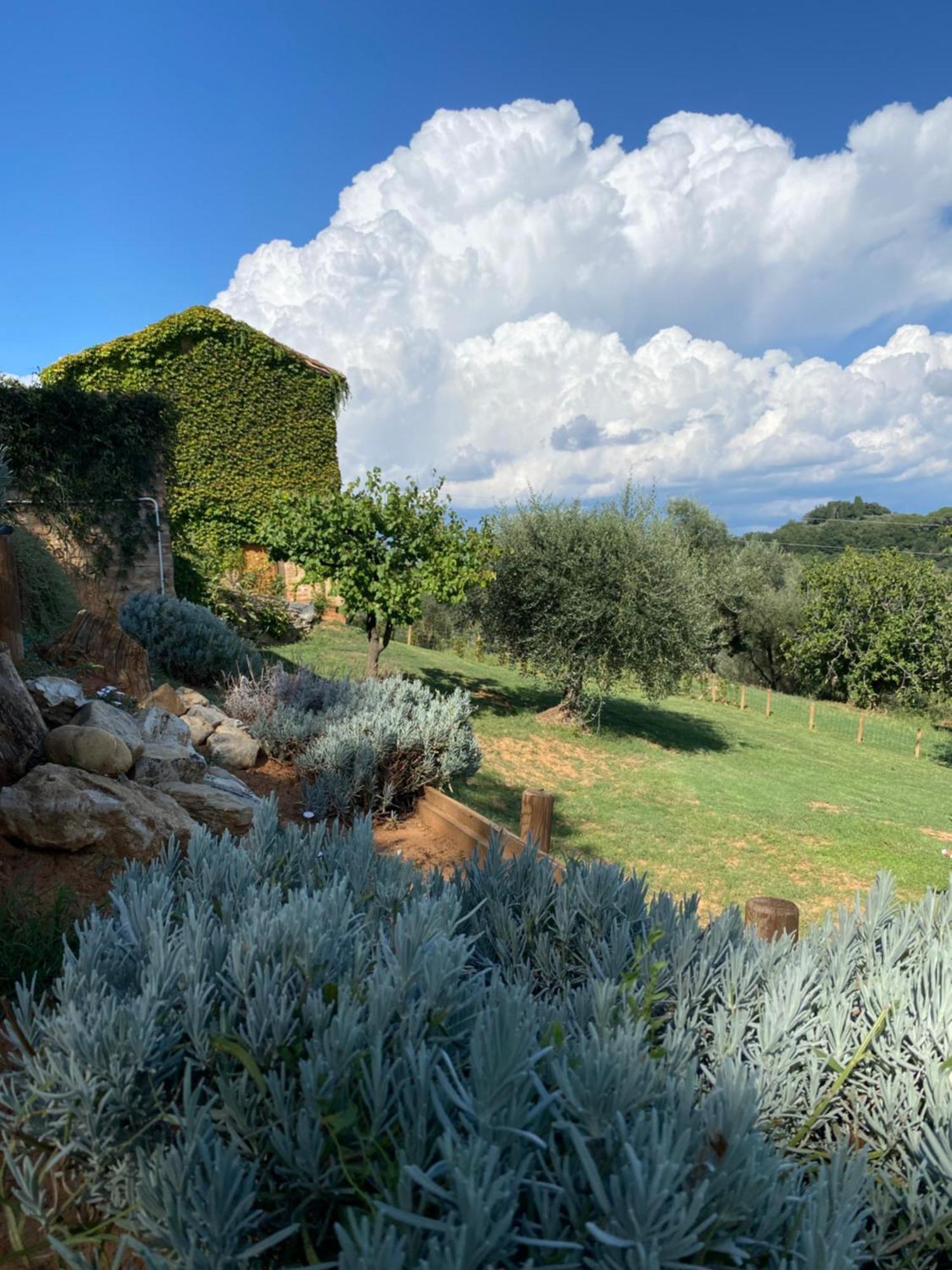 Palazzo Del Papa Country Suites Siena Zewnętrze zdjęcie
