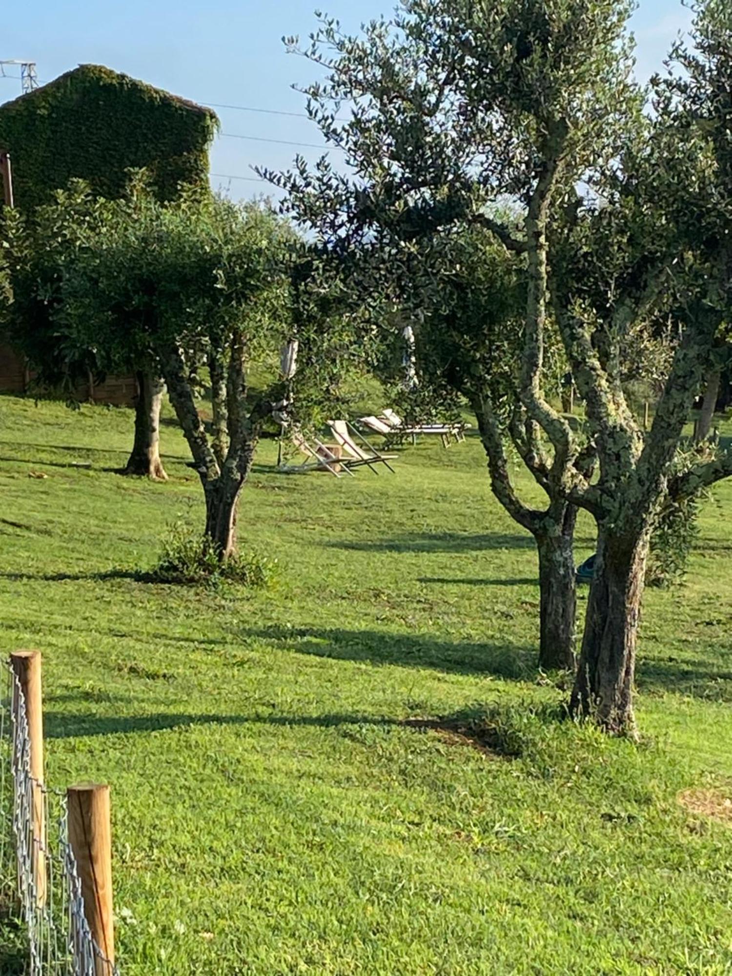 Palazzo Del Papa Country Suites Siena Zewnętrze zdjęcie